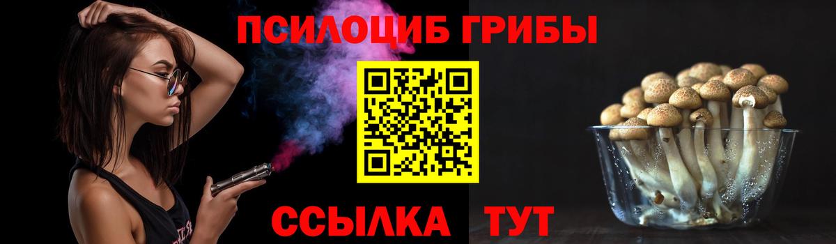 Галлюциногенные грибы Psilocybe  Вход с VPN  Старая Купавна  Псилоцибиновые грибы Psilocybe 