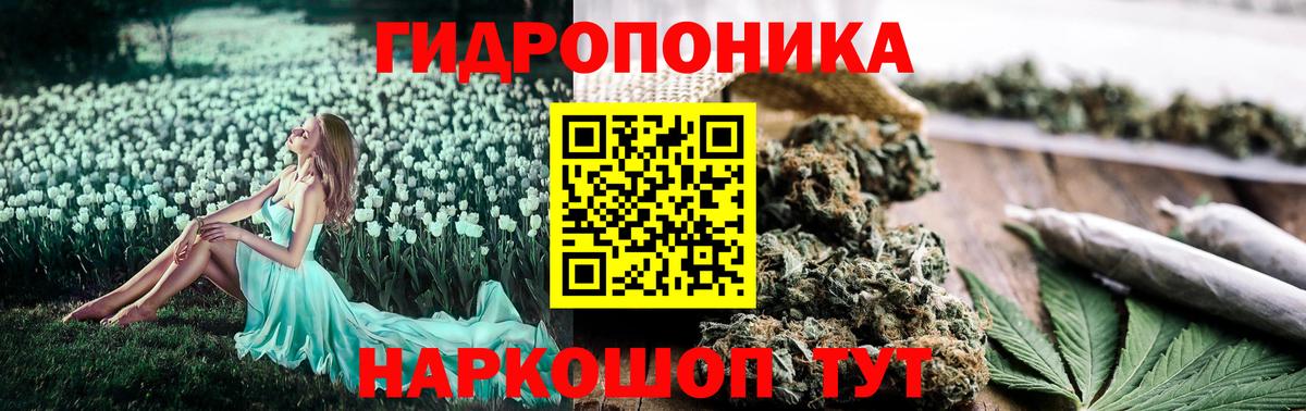 Бошки Шишки THC 21%  Вход с VPN  Бошки Шишки тримм  Марихуана конопля  Старая Купавна  Шишки марихуана конопля 